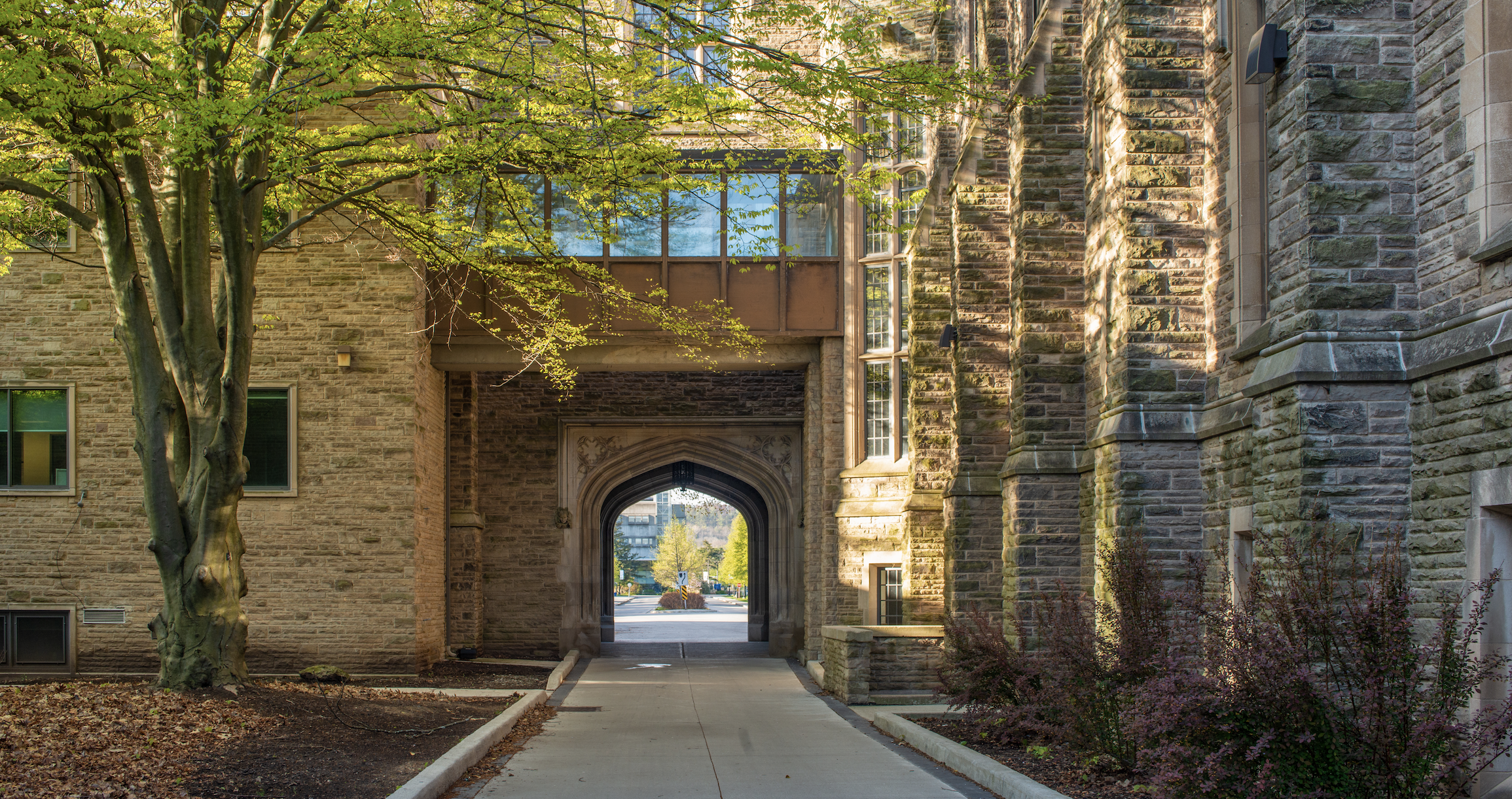 Photo of McMaster's Hamilton Hall Arch Spring time