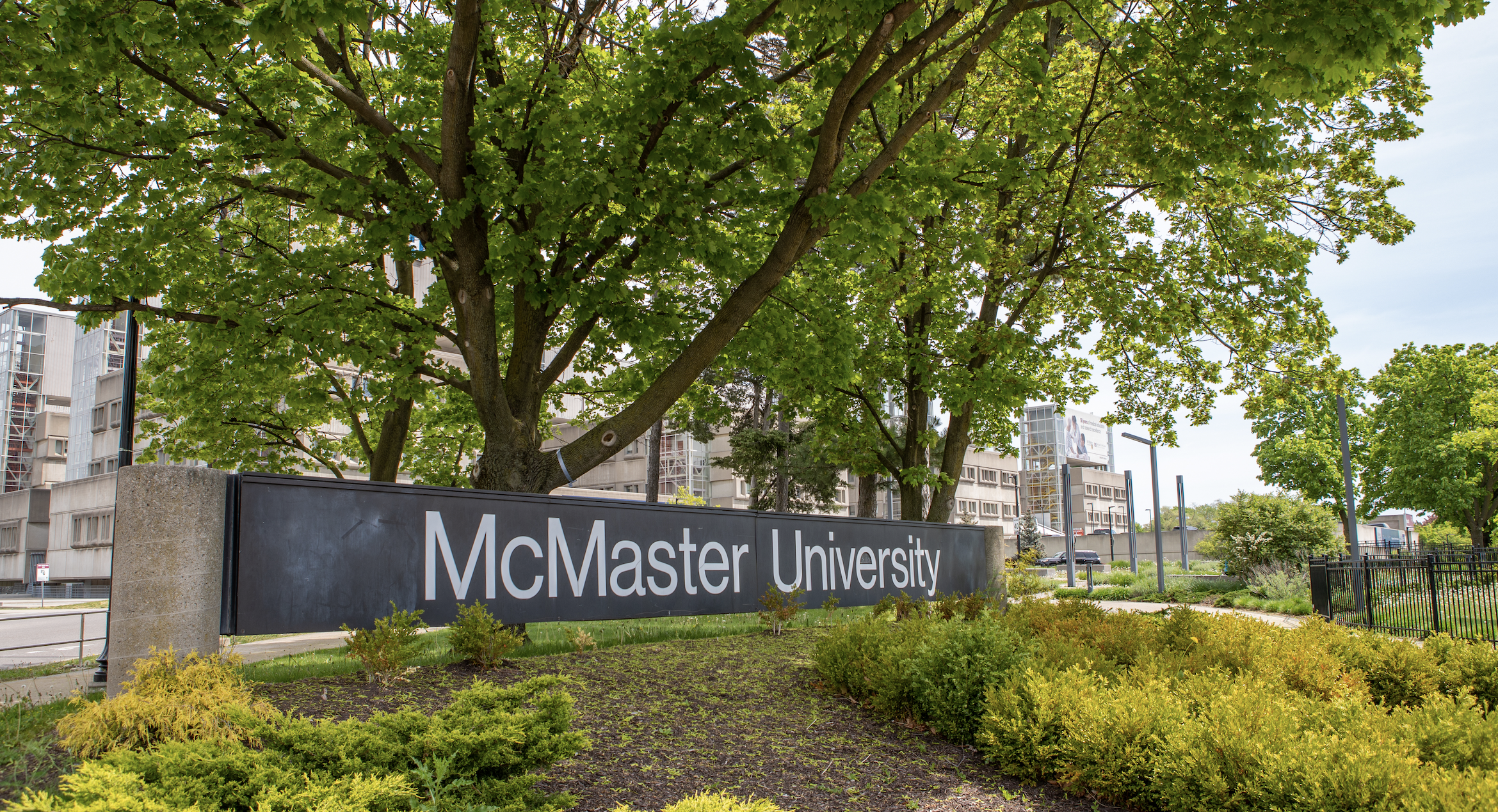 Photo of McMaster Signage in front of trees and shrubs