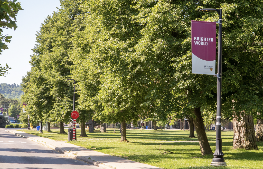 Photograph of trees on McMaster Campus. A Brighter World banner appears in the foreground.