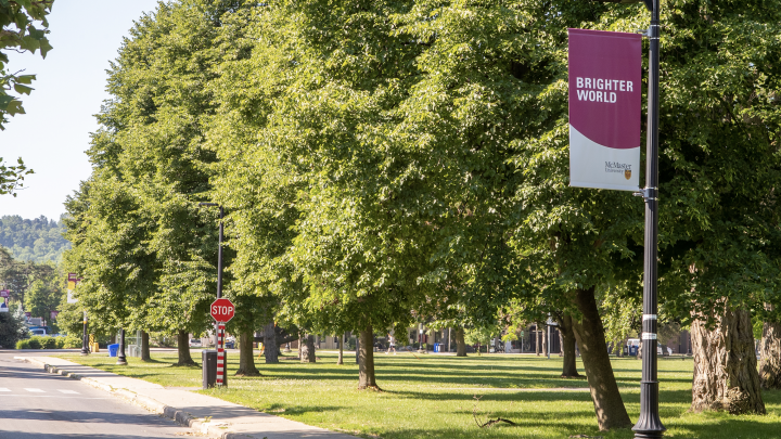 Photograph of trees on McMaster Campus. A Brighter World banner appears in the foreground.