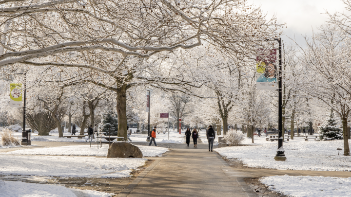 Decorative image of snowy day on McMaster Campus