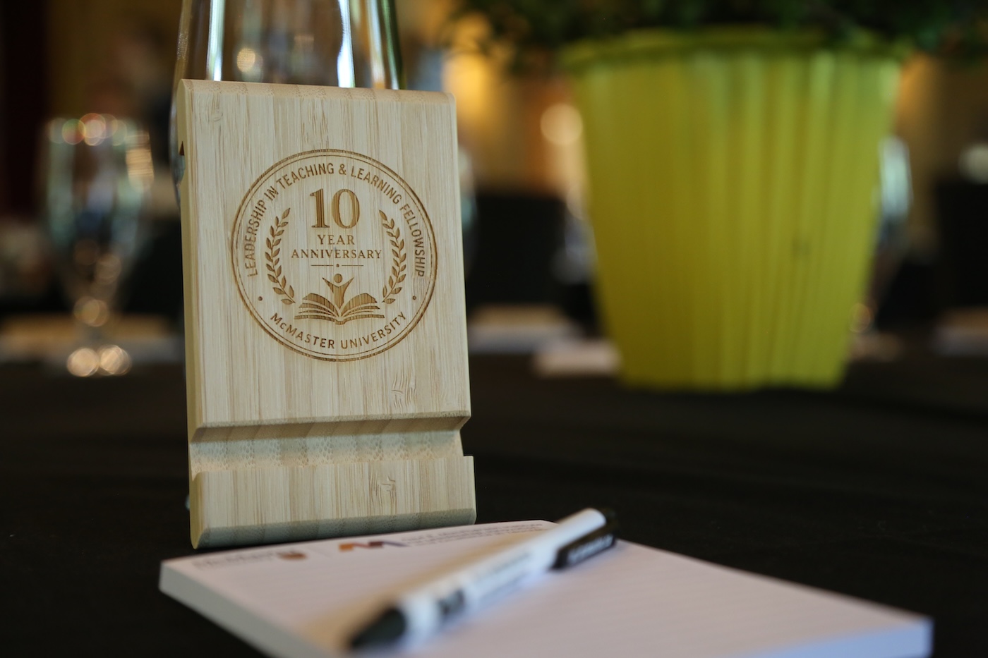 Photo from the 10 Year Anniversary of the Leadership in Teaching and Learning Fellowship in June 2026.